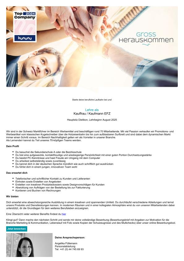 Job Inserat Preview