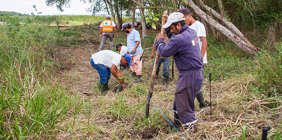 Plant for the Planet Projekt