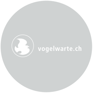Vogelwarte-Logo